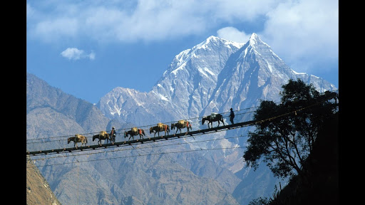 Hop Nepal - Thumbnail