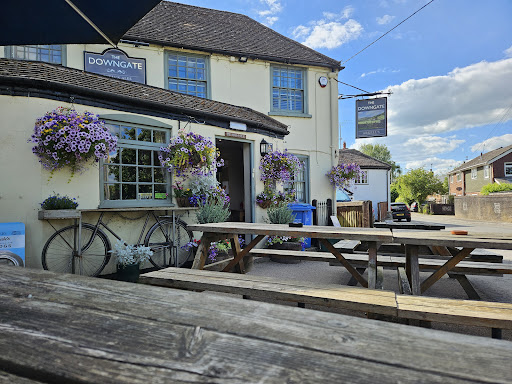 The Downgate - Visual