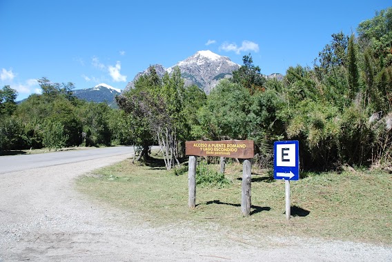 Camping Bosque de Arrayanes, Author: Carlos Ruiz Badilla