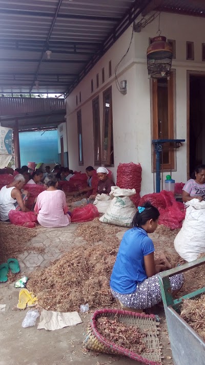 Photos of Bawang Merah Kapas