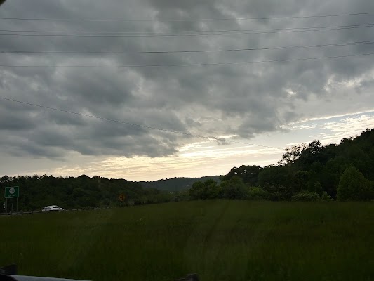 Wilder - Image 4