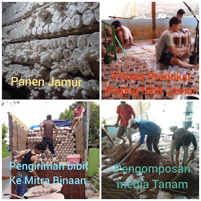 Photos of Mulia jamur jamur pak.udin