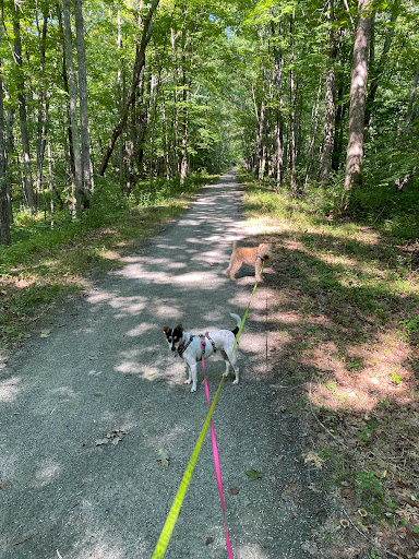 Air Line Trail Colchester