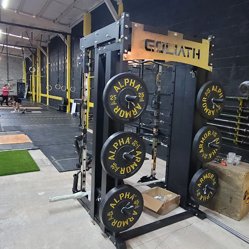 BAGHEERA CROSSTRAINING - Thumbnail
