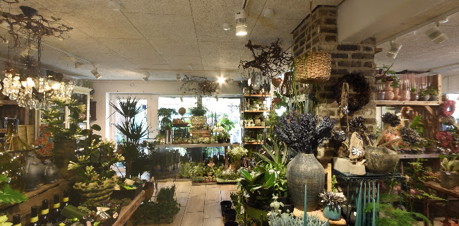 https://www.tonnys-blomster.dk/