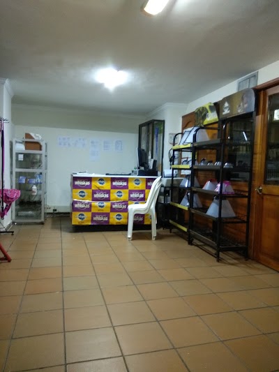 Photos of Sabuesos Veterinaria