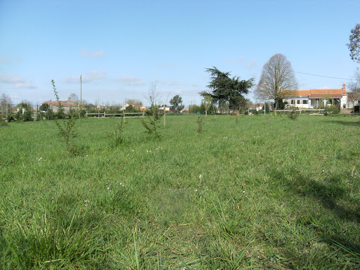 Pension canine en famille (44) Gallery - France