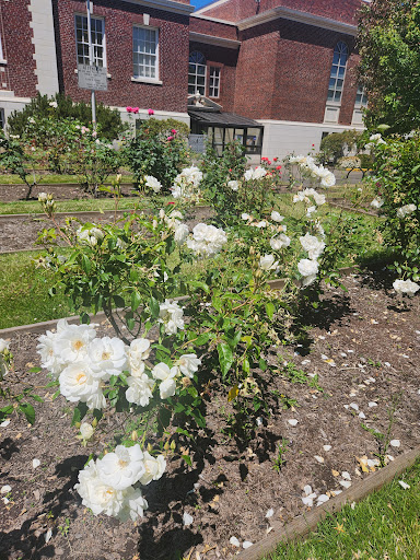 Longview Library Foundation - Visual