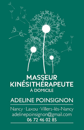 Opinii despre Cabinet de Kinésithérapie à Domicile - Adeline POINSIGNON în Nancy - Kinésithérapeute