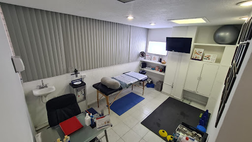 AF Physio - Visual