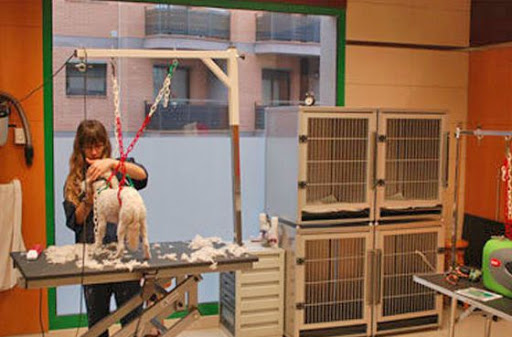 Clinica Veterinaria Mon Animal Berga