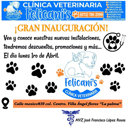Clínica Veterinaria Felicani’s