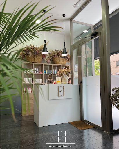 Essential Loft - Visual