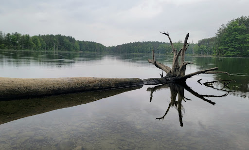 Dansville Reservoir - Thumbnail
