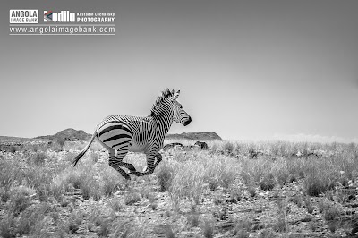Photos of Angola Image Bank