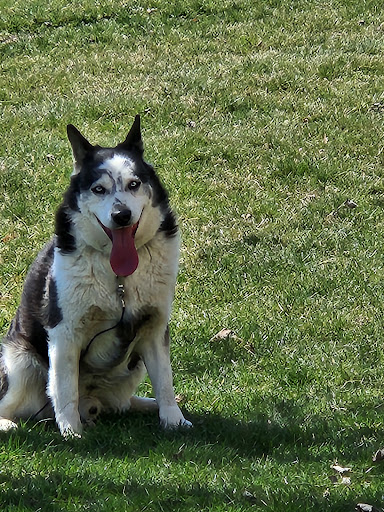 Coldwater Kennel Gallery - United States