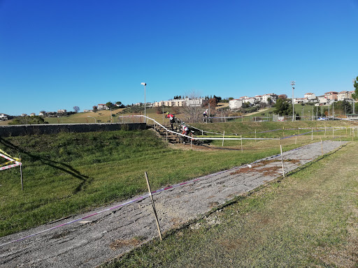 Stadio Comunale - Visual
