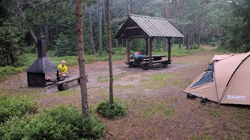 RMK Tõrvanina telkimisala