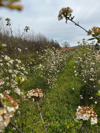 Photo de Mainaud Création