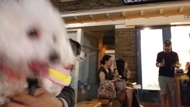 Bar Ape Gelato