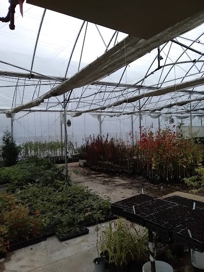 Photos of Greenwood Nursery