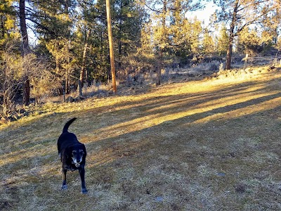 Klamath Animal Clinic