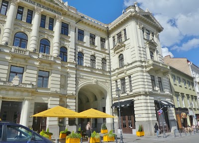 Photos of Glory Bar by Stikliai