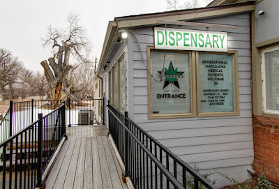 Photo of Star Buds Longmont