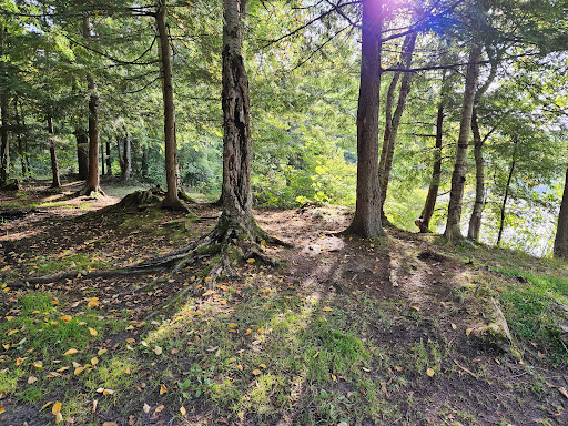 NYS Forest Campground - Thumbnail