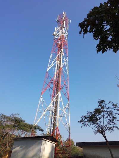 Photos of Kalmegh Bazar