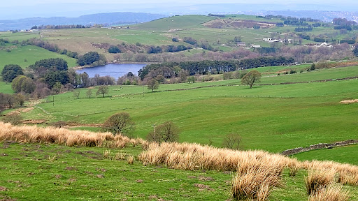Darwen Moor - Thumbnail