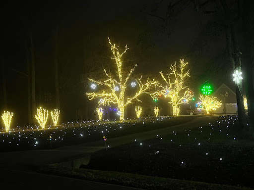 Dances Bay Christmas Light Show - Thumbnail