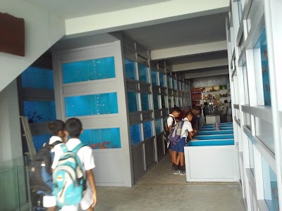 Photos of Nature Of Life Aquriums