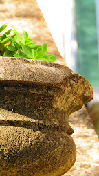 Photo n°70 de La Bastide de Canaules à Canaules-et-Argentières (Chambre d'hôtes)