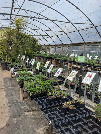 Lex Plant Farm & Garden Center