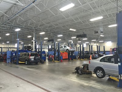 Photos of Terry Lee Honda