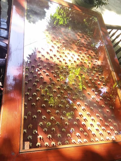 Photos of Himalaya Vegetarian Restaurant