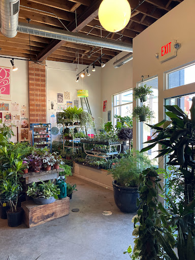 Darling Botanical Company