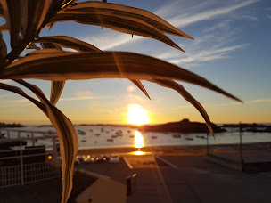 Photo n°165 de Le Transat Restaurant à Trégastel (Restaurant de fruits de mer)