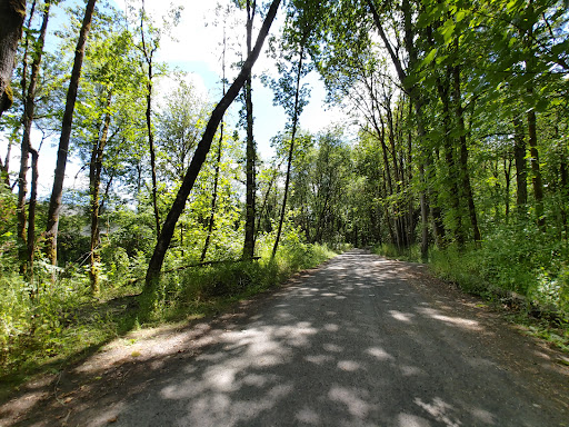 Bryant Woods Nature Park Gallery - United States