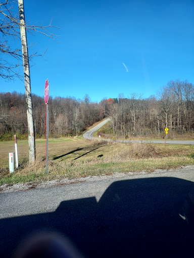 Tharps Run Cemetery Gallery - United States