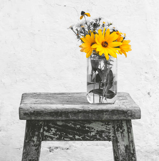Simplicity Cremations - Visual