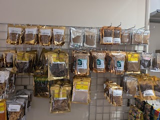 Lola Grocery Store