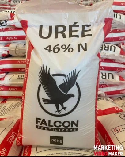 ETG AGRI INPUTS BZV CONGO