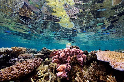 Photos of Tui Tai Expedition Cruises