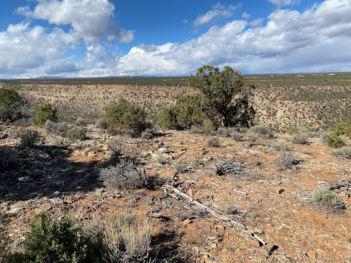 Lower Spring Creek Canyon Trail - Thumbnail