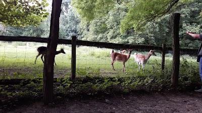 Photos of Frankfurt Airport Eastern Country Hotel
