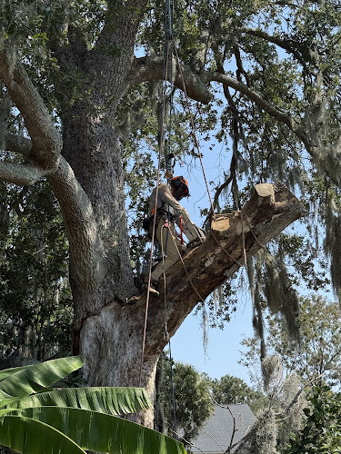 Tree to Sea, LLC
