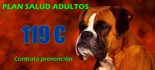 Clínica Veterinaria Amigos