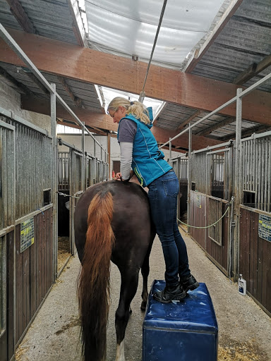 Laufwerk Möller - Thumbnail